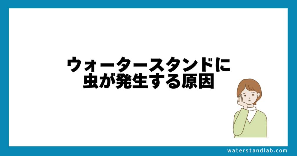 ウォータースタンドに虫がわいてしまう根本的な原因